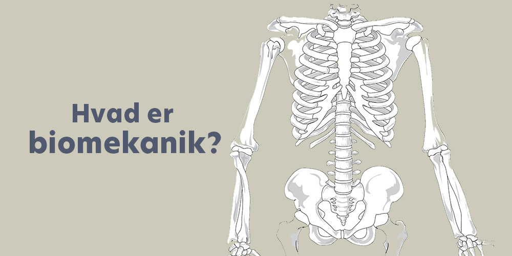 Derfor skal du kende til biomekanik